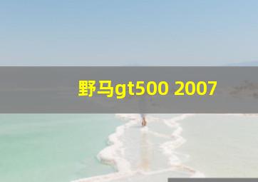 野马gt500 2007